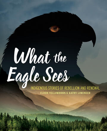 what-the-eagle-sees